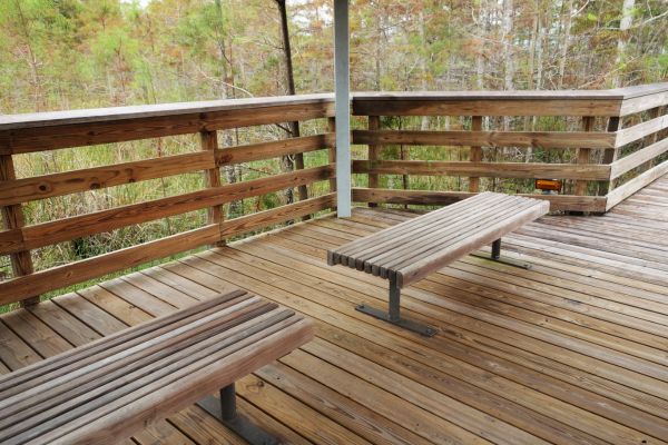 Selecting the Right Woods for your Decks - All Pro Thornton Deck Builders